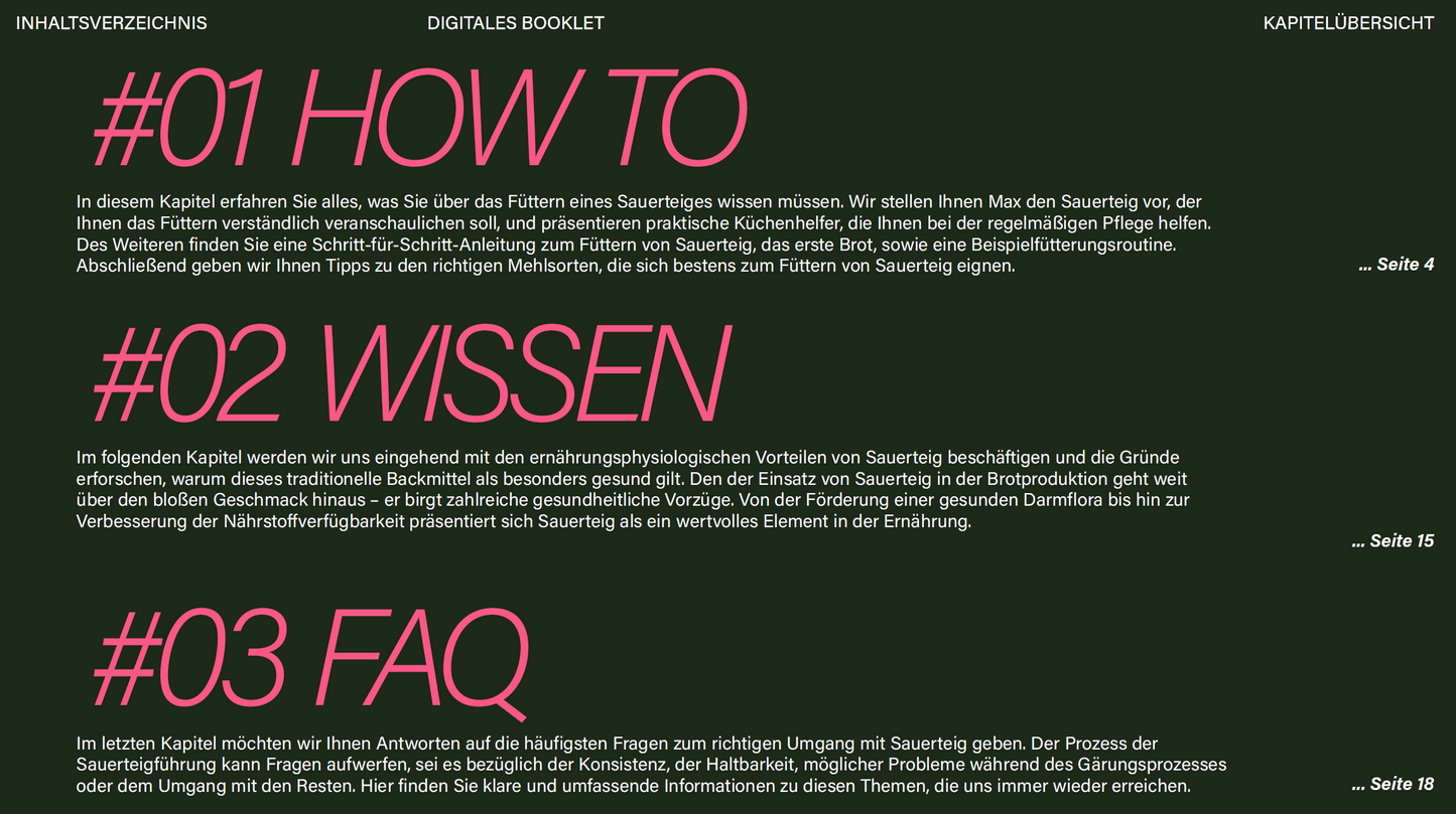 Sauerteig Starter Guide - digitales e-Book über die richtig Sauerteigpflege [PDF Download]