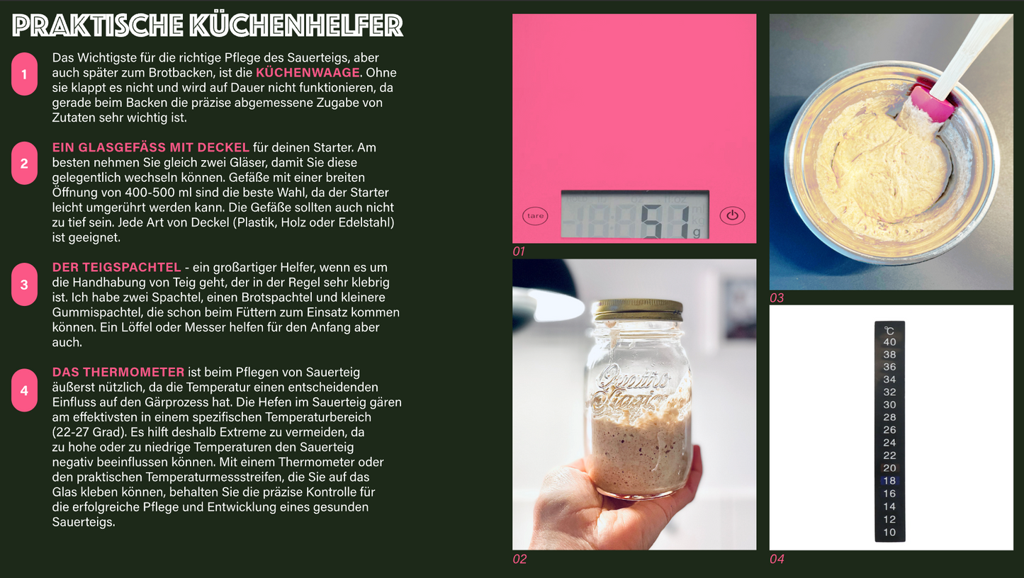 Sauerteig Starter Guide - digitales e-Book über die richtig Sauerteigpflege [PDF Download]