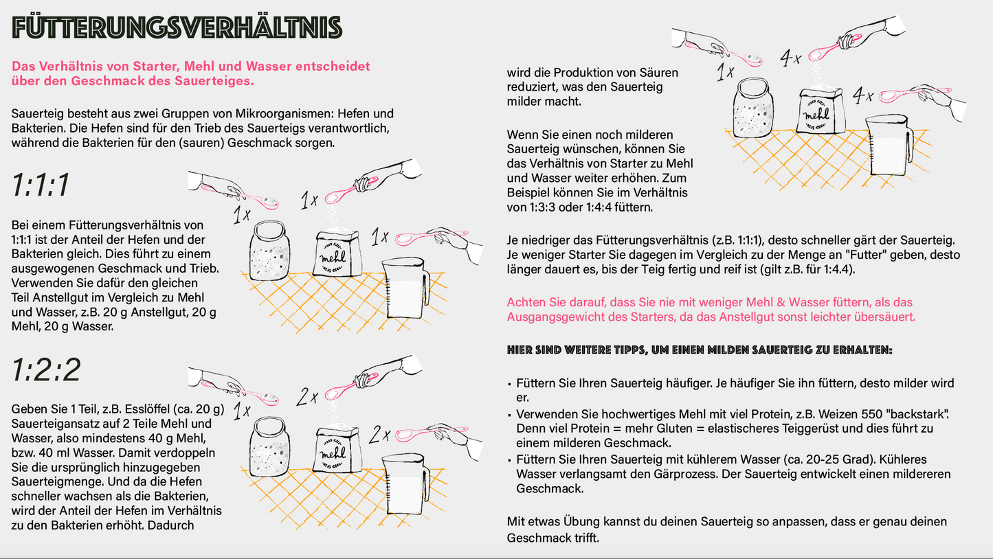 Sauerteig Starter Guide - digitales e-Book über die richtig Sauerteigpflege [PDF Download]