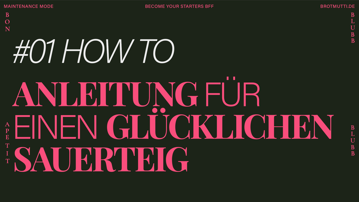 Sauerteig Starter Guide - digitales e-Book über die richtig Sauerteigpflege [PDF Download]