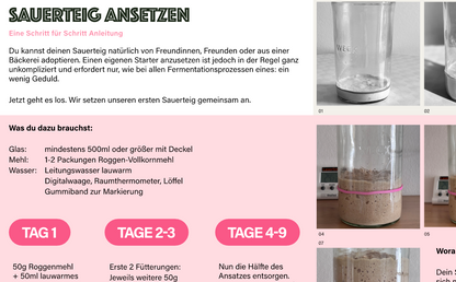 NEU! Sauerteig Starter Guide 2026 [PDF Download]