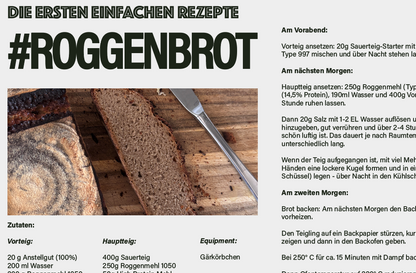 NEU! Sauerteig Starter Guide 2026 [PDF Download]