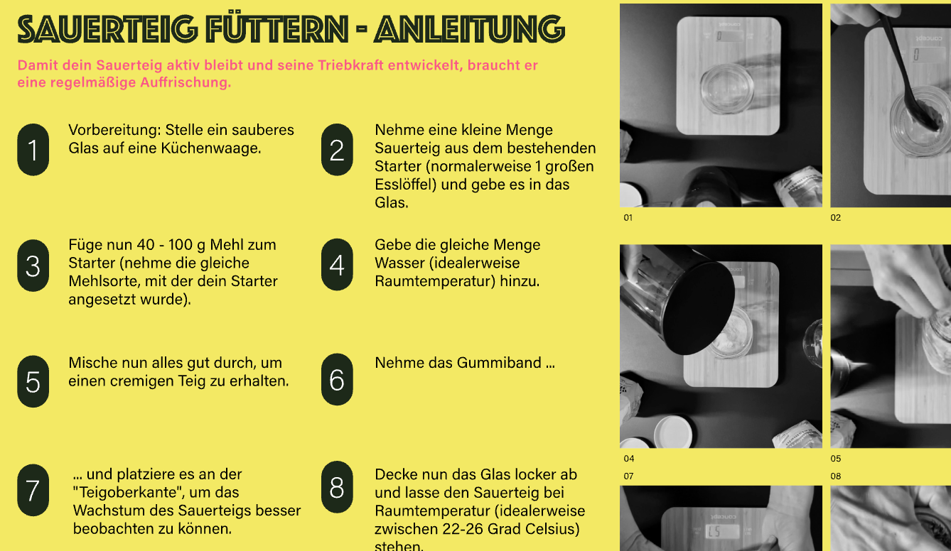 NEU! Sauerteig Starter Guide 2026 - Der einfache Einstieg in Sauerteig Schritt für Schritt [PDF Download]