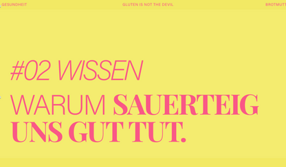 NEU! Sauerteig Starter Guide 2026 [PDF Download]