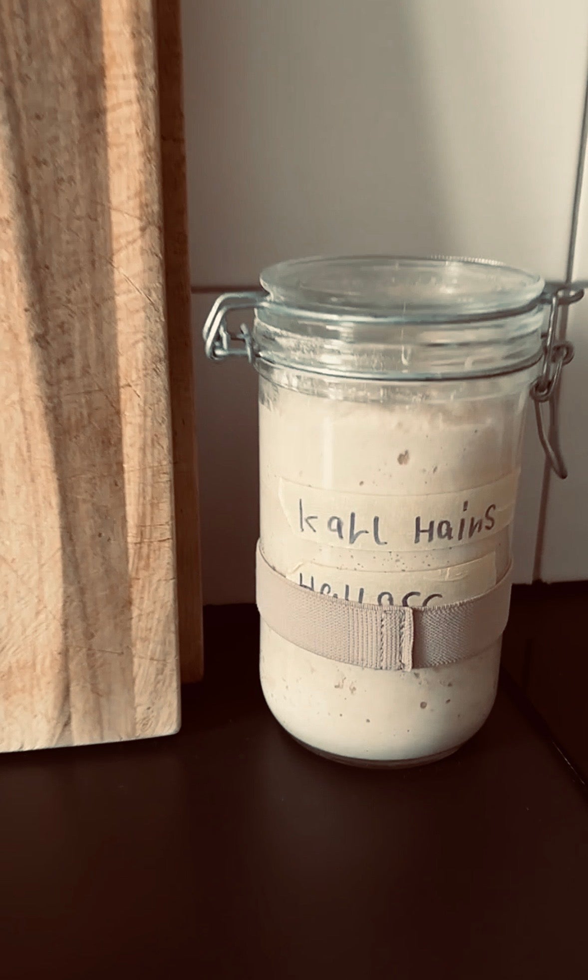 Bread & Bot · Sauerteig-Fermentations-Workshop · Kunst und KI