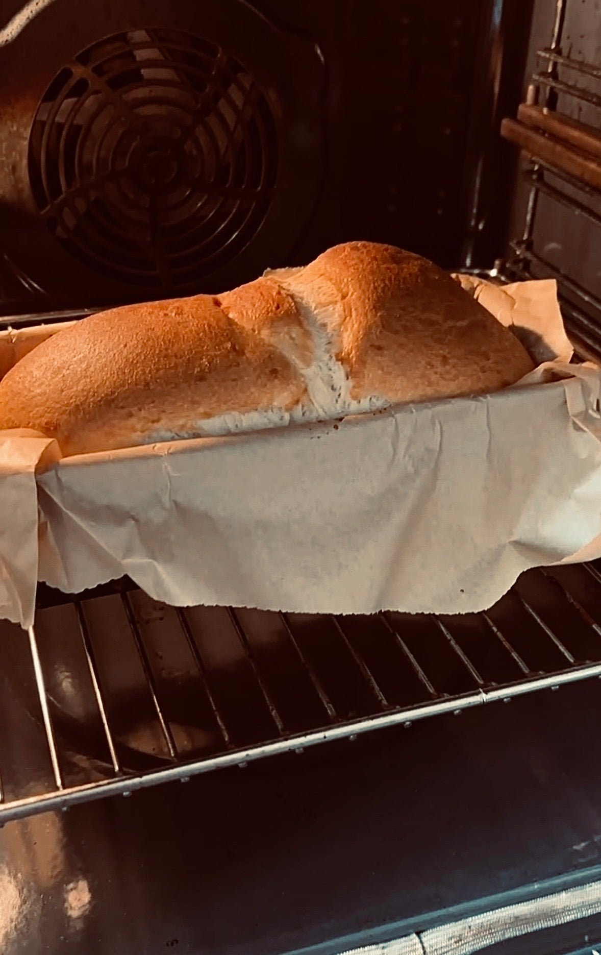 Bread & Bot · Sauerteig-Fermentations-Workshop · Kunst und KI