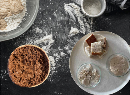 Bread & Bot · Sauerteig-Fermentations-Workshop · Kunst und KI